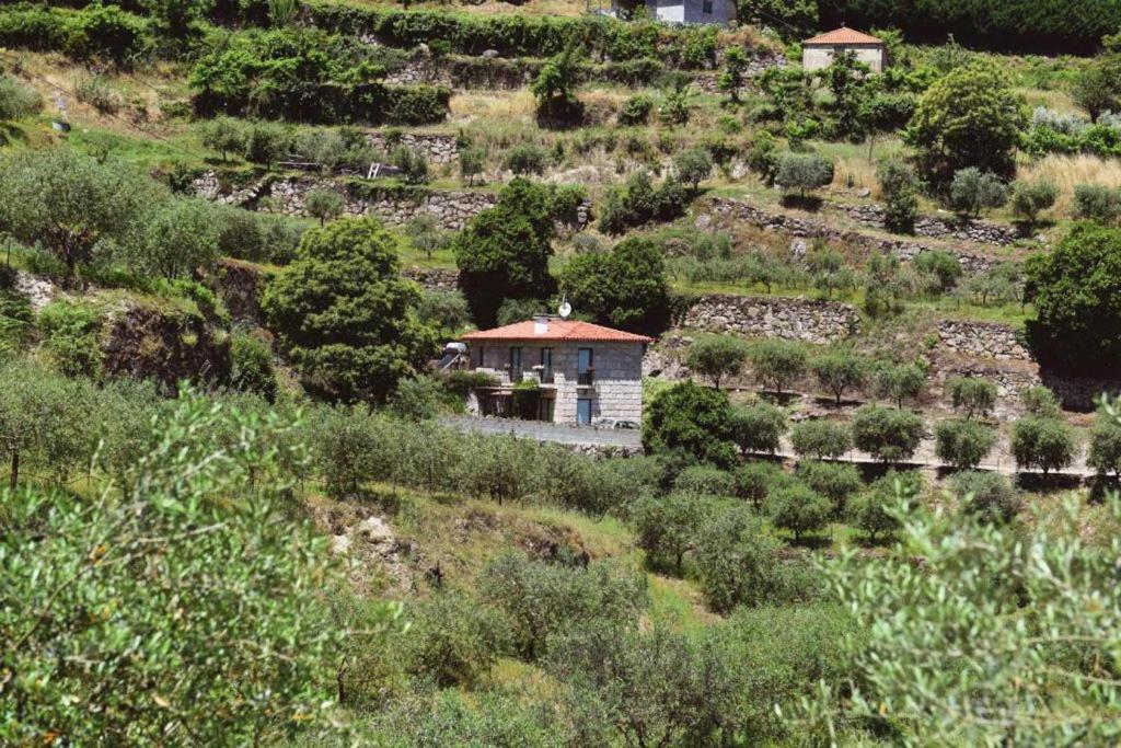 히바 도우로 Casa Dos Becos 빌라 외부 사진